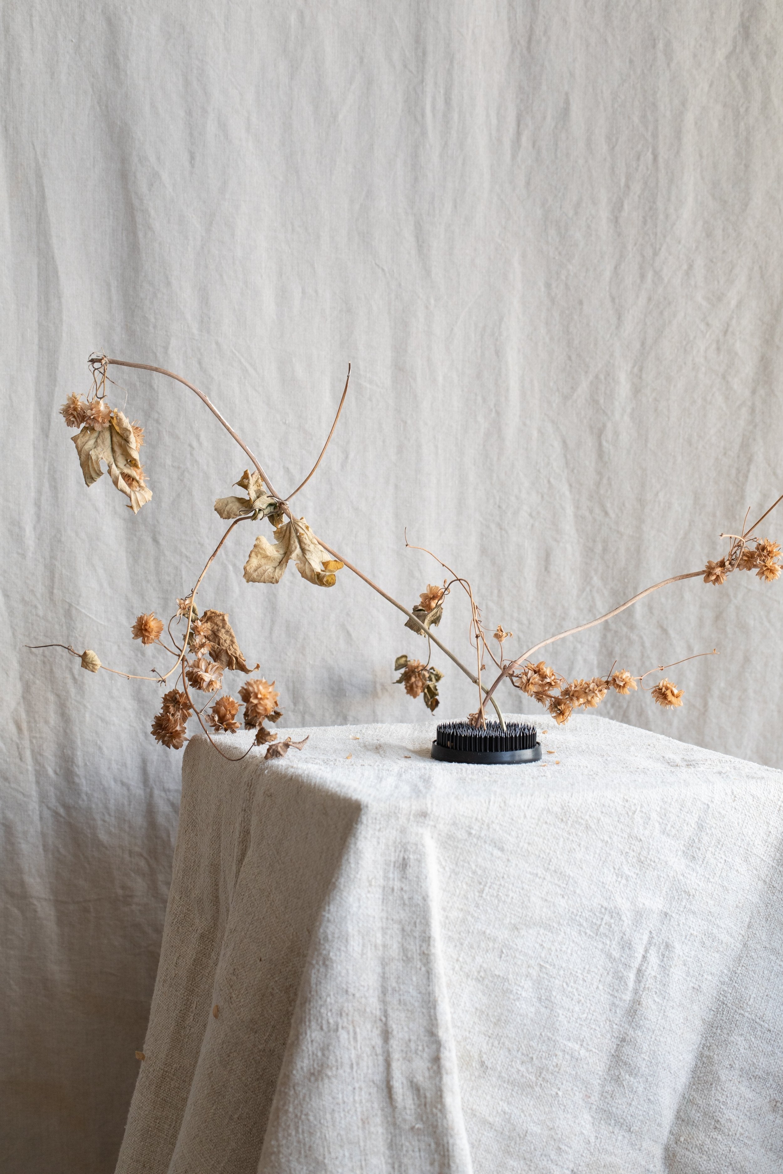 Kenzan Floral Frog