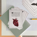 Dark Academia Style Postcard Set - 5 Pack