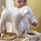 Mary the Lamb Pull-Along Toy