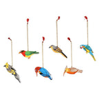 Hand-Painted Assorted Bird Ornaments Set of 6 'Festive Birds'
